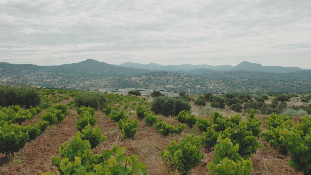 Hotel Tierras De Cebreros Dış mekan fotoğraf
