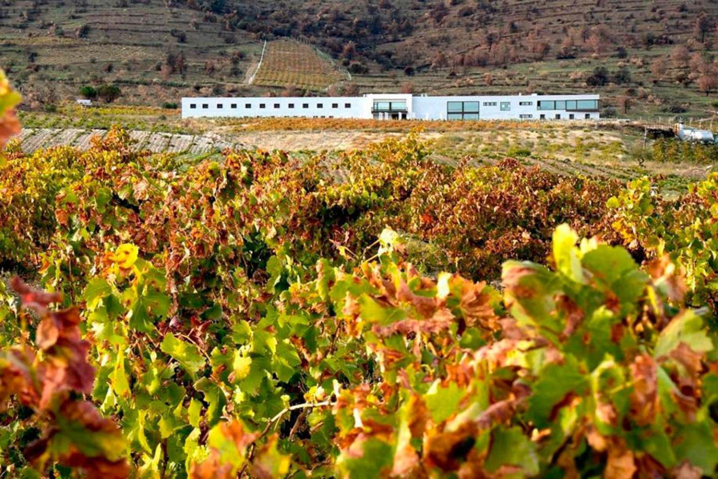 Hotel Tierras De Cebreros Dış mekan fotoğraf