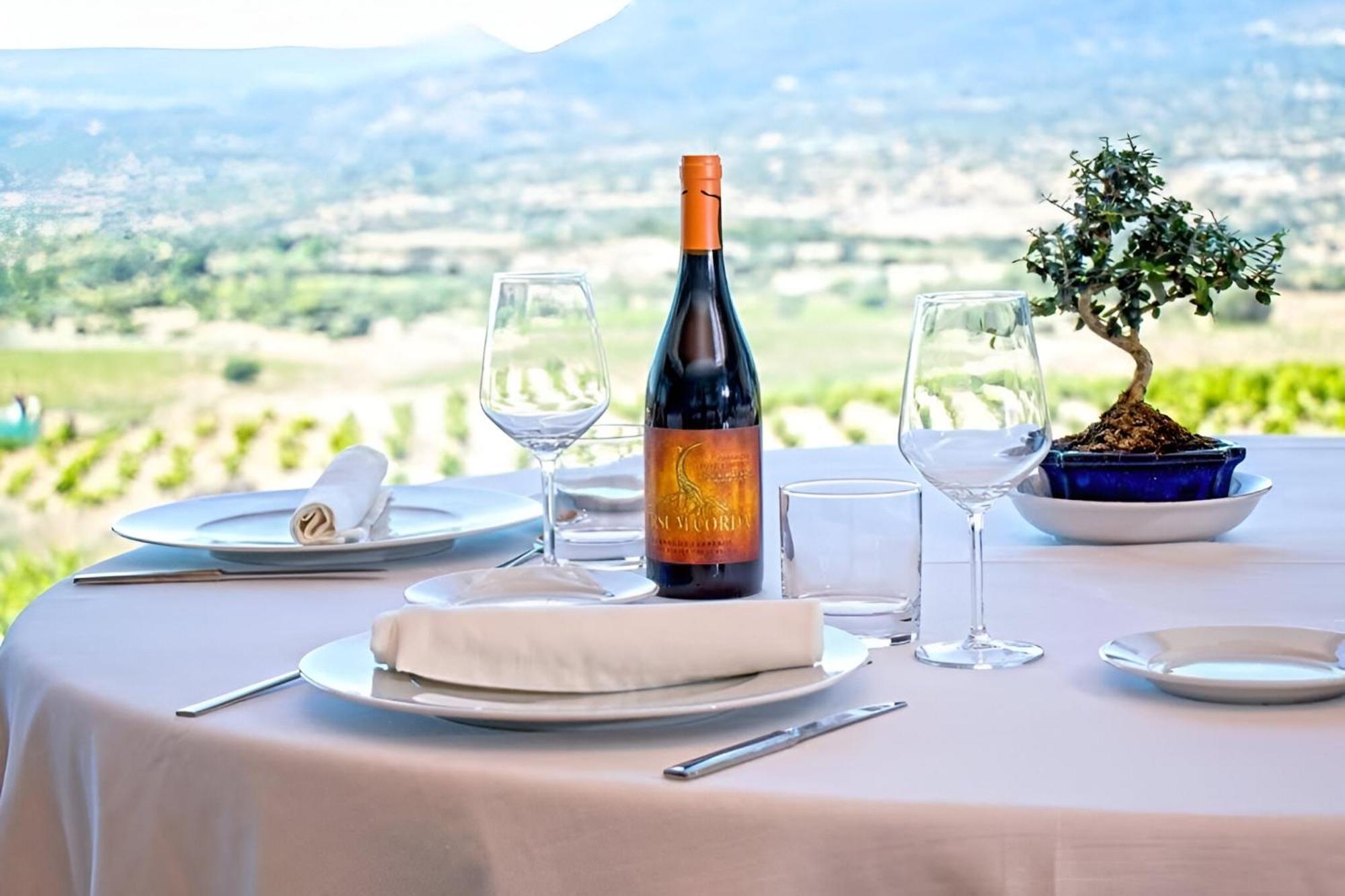 Hotel Tierras De Cebreros Dış mekan fotoğraf